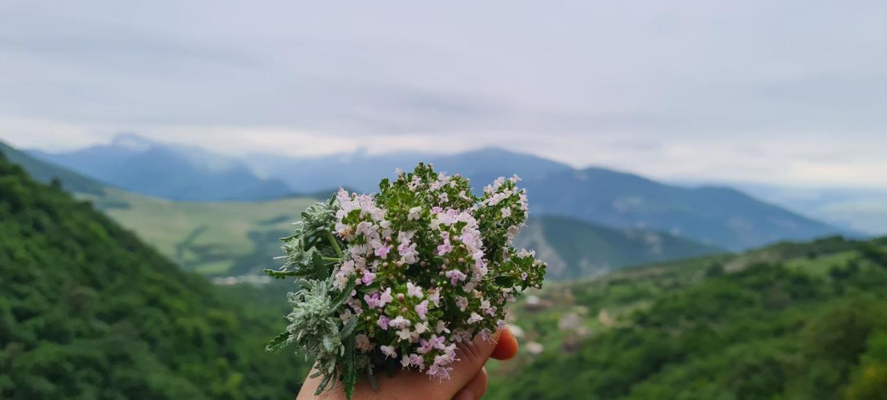 "Budur" Guest House Gandzakar Dış mekan fotoğraf