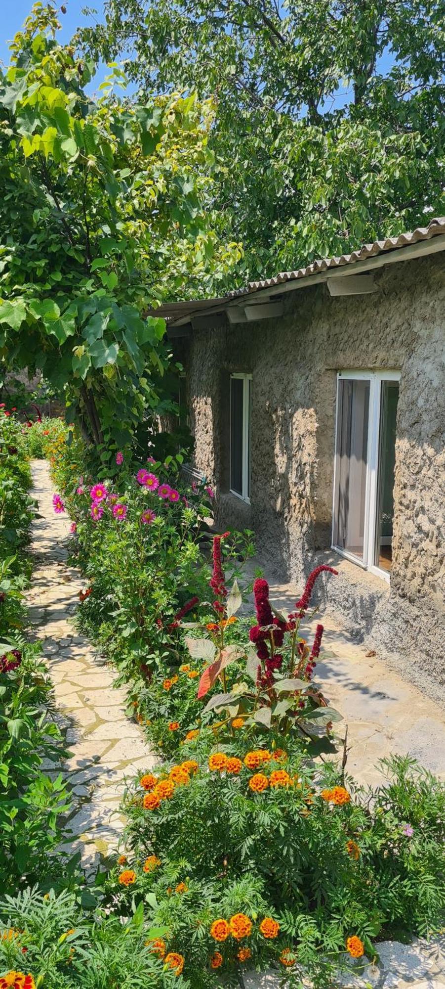 "Budur" Guest House Gandzakar Dış mekan fotoğraf
